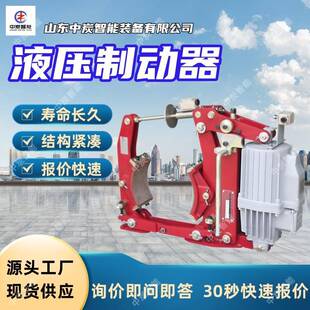 响应迅速矿用电压制动器 BYW5 315 50电压制动器 结构紧凑