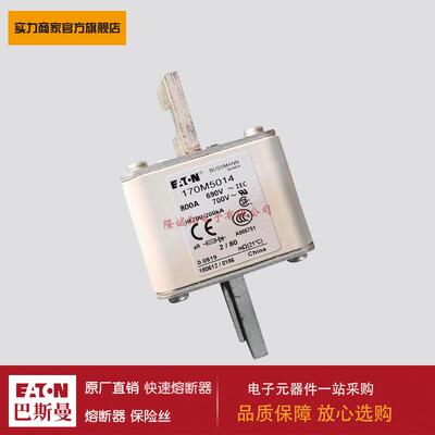 熔断器170M5014 170M5015 170M5016 170M5017 170M5018 170M6008