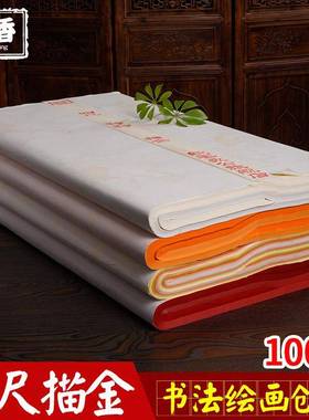 皖国香特种五彩描金CVG生宣纸宣书法者画创作专用初学练习四尺夹