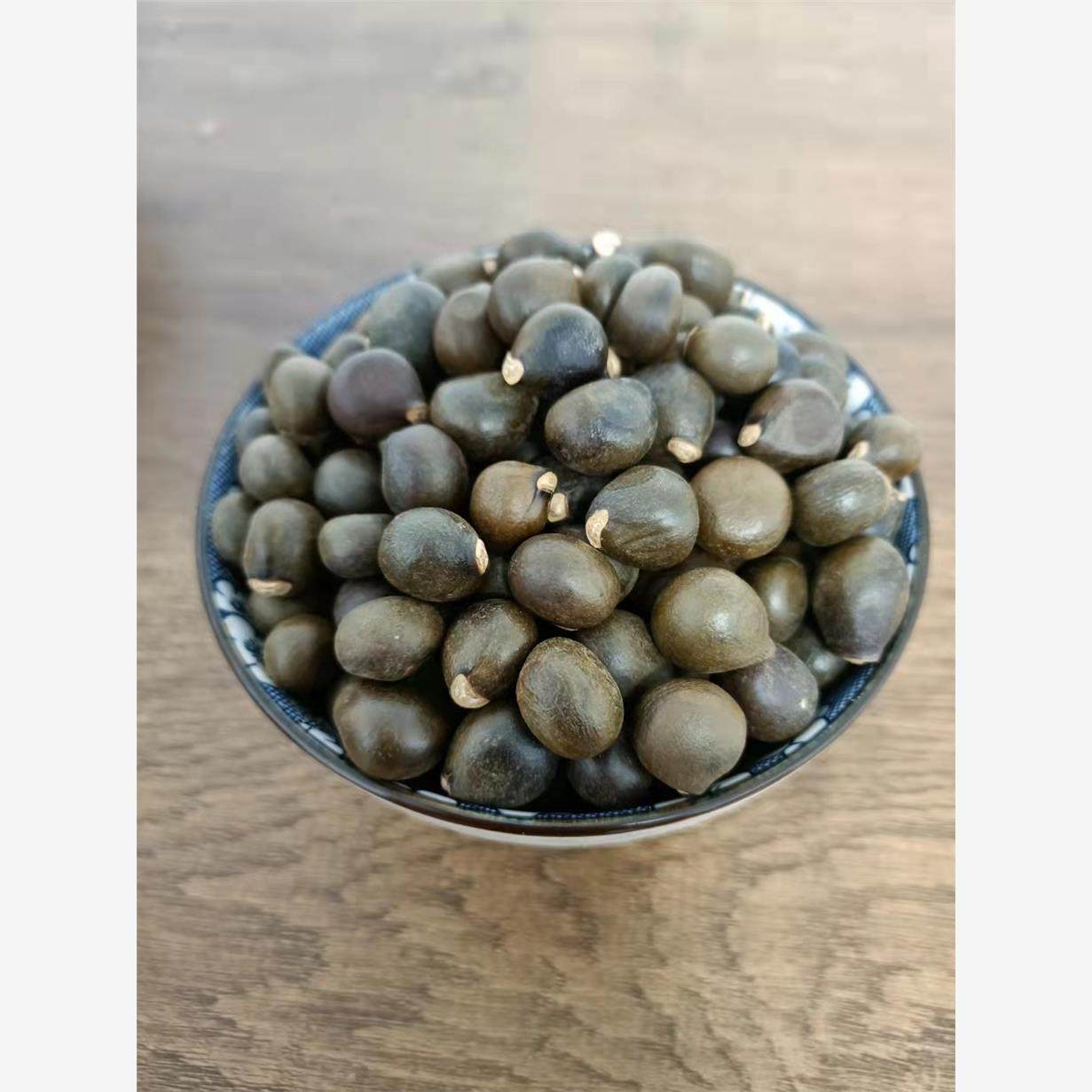 精选新采文冠果树籽食