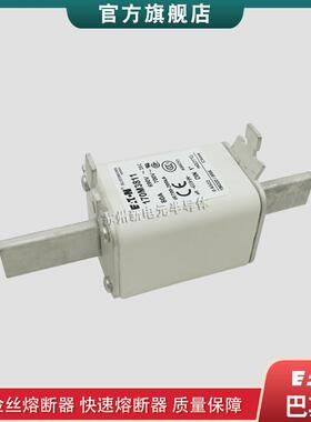 快速熔断器保险丝170M3810 3812 3814 3816 3817 3818 3819 3840