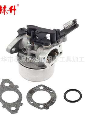 林升2700 3100PSI 796608 591137 590948 594287 799248化油器