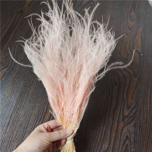 永生花花材 羽毛草绒毛草 礼盒玻璃罩干花仿真花DIY配草辅材