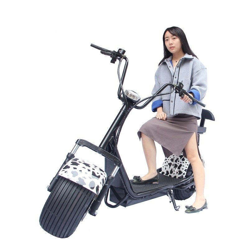 骏杰动感普哈雷电动车太子电瓶车60v锂电池城市代步宽胎机通勤车