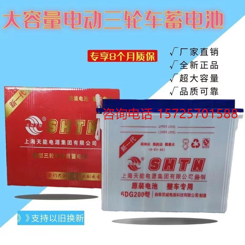 上海天能 6DG200-220-260-320-400型 拉客 拉货 电动三轮车水电瓶