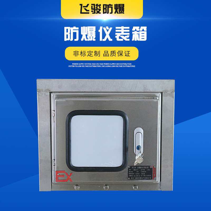 防爆不锈钢仪表箱配电箱接线箱触摸屏保护箱控制箱接线盒