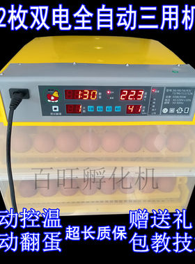 人工孵化小鸡机器电动抱化机农村用孵化箱电抱鸡的机器出鸡苗箱子