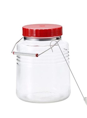 DERI复刻版玻璃瓶酿酒泡酒瓶青梅酒水果酵素瓶密封罐