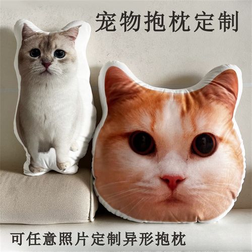 diy定制猫咪狗狗异形抱枕定做宠物来图片照片靠枕无白边丑猫玩偶