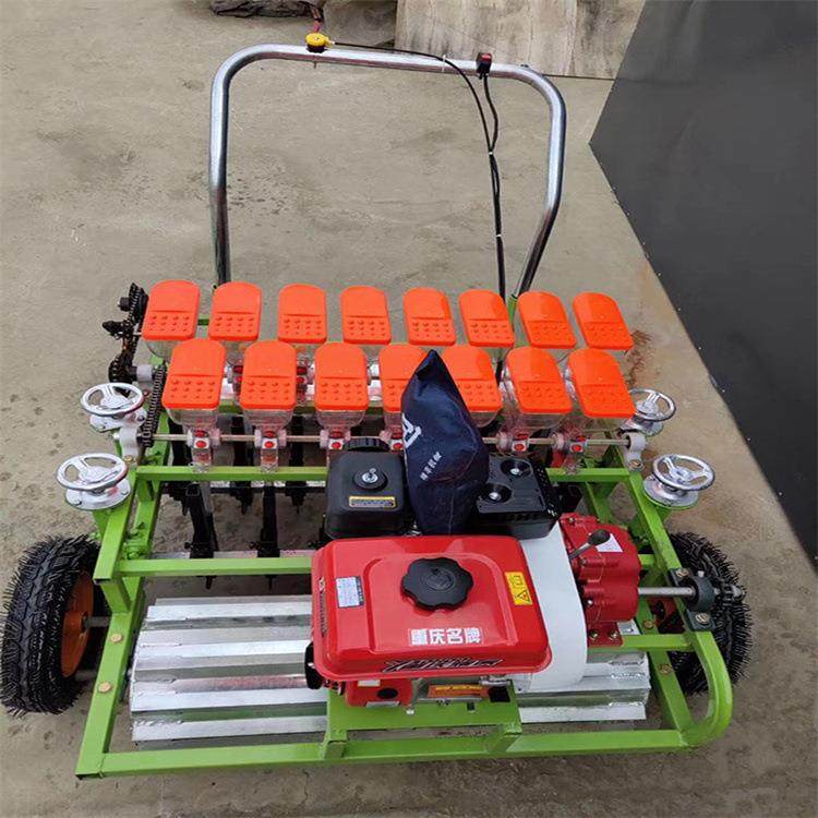 家用免耕施肥播种机手动不用电多行蔬菜香菜精量精准播种机