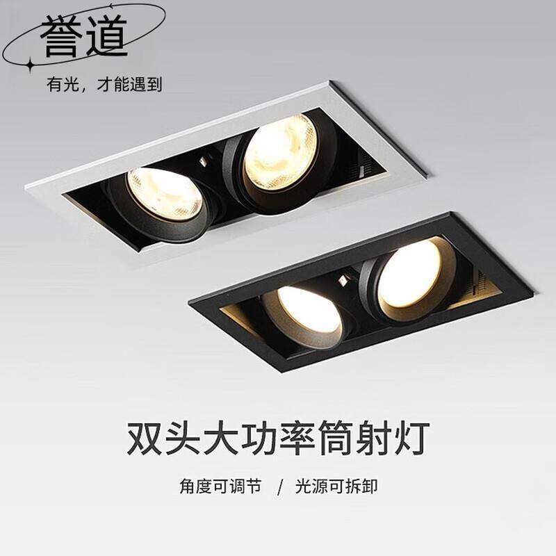 誉道双头斗胆灯酒店售楼处射灯工程大瓦数牛眼灯led天花嵌入式格