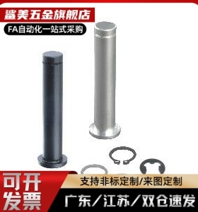 替代HCCG6/8/10/12/5/4-15-20/25/30铰链销 带肩扣环型