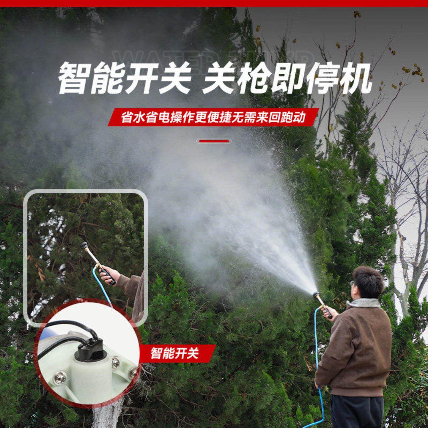 电动喷雾器农用高压泵泵12V洗48V60V220V5膜缸隔喷雾喷药QX机车抽