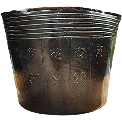 荷花盆加厚一次性黑色塑料无孔碗莲盆水生植物育苗盆睡莲盆营养鉢
