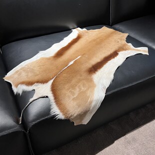 南非进口跳羚羊皮地毯客厅沙发椅子飘窗坐垫装饰垫书房卧室床边毯