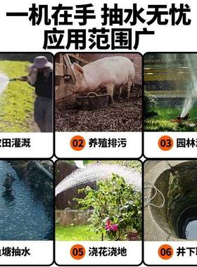 粪污水泵排污抽粪浆220v小型泥家用清吸水泵潜水化池ACY污泵切割