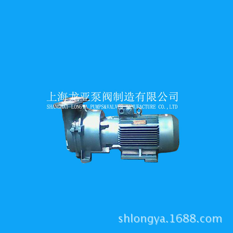 2BV系列水环真空泵高效耐用
