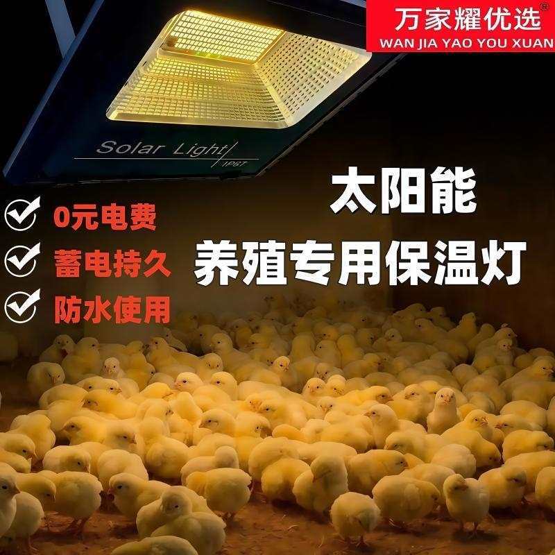 太阳能加温小鸡育雏保温灯