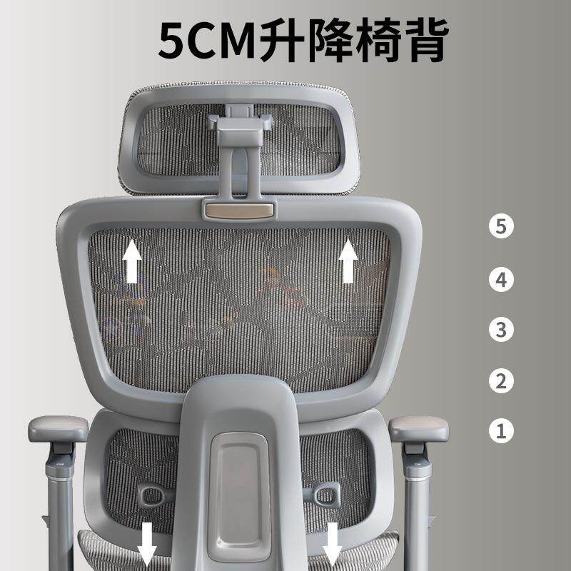 体学椅子护腰人QLJ电脑工椅家用舒适久坐电竞椅子男室生可躺办公