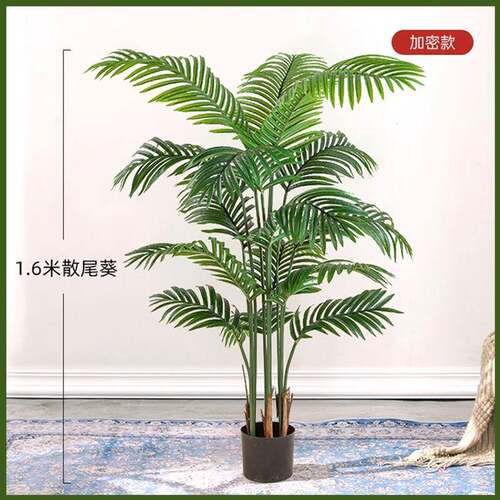 仿真绿植散尾落客葵盆室JJR内地装饰假植物凤尾栽葵厅造景摆件树
