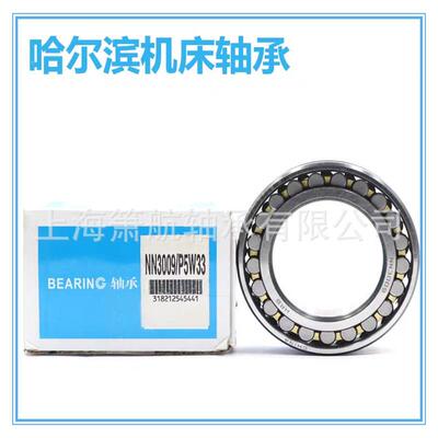 哈尔滨机轴床双排柱滚子承NN3K00圆5NN3006KNN300QKB7K/W33