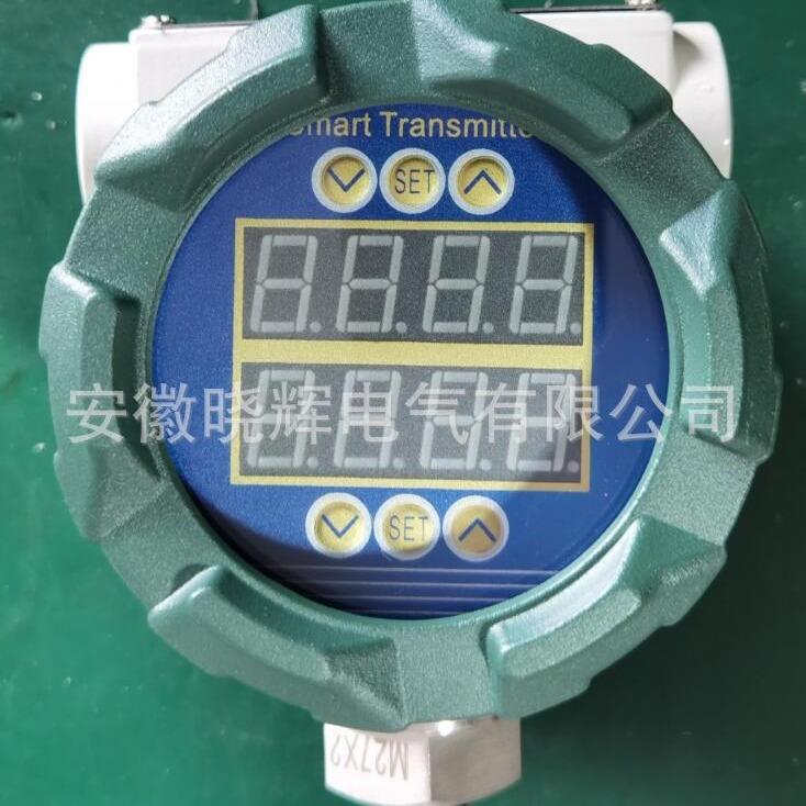 就地温度显示仪XH-LCD-06058数显温度计