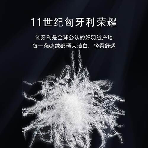 20支全棉贡缎羽绒枕芯95鹅绒枕48cx74m家1用枕酒店枕民宿单人rfKD