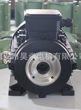 ，三泵相5.5K空心轴内插电机与AR，ZZ-HS霍W克interpump高压等匹