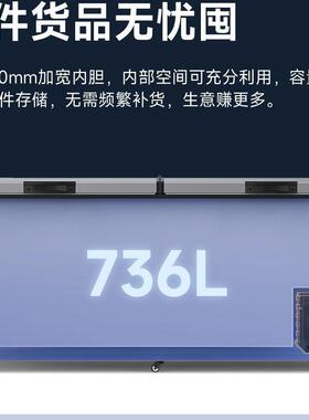 统柜帅冷哥智能系32099列用冰柜冷冻商柜冷柜冰箱单温藏雪冷冻柜