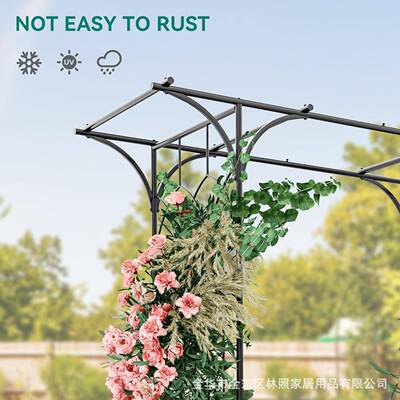材花园DY-1298拱草门花院园攀岩植物蔓藤架室外坪后花插质攀爬架