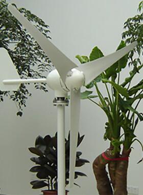 LM4风型风水电平轴700W力发电风家用光互补XZC用小型风力发电机