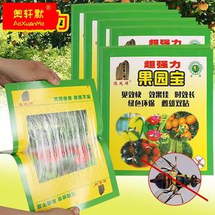 果园宝果蝇诱粘蝇板瓜果实蝇桔小实蝇针蜂害虫苍蝇黏胶20张600张