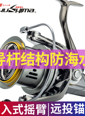 德岛TE卷线器全金属远投轮防海水渔轮10000型锚鱼轮海钓浅杯斜口