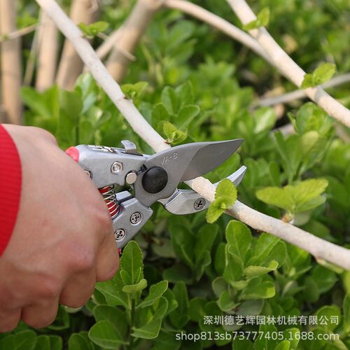 爱丽斯-VA-7Z8Z剪刀修枝剪家用新款进口果树粗枝剪省力园艺剪枝刀