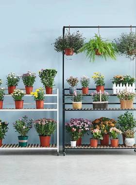 花架置物阳架台阶梯式盆景内实木室多层花PLX盆落地架子多架肉家