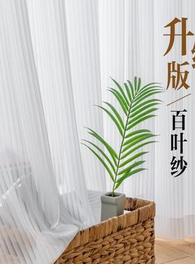 A1776L窗帘纱厅帘窗纱白透光不透人竖条百叶纱客室阳卧台光影现代