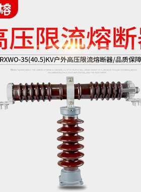 RW10-35/0.5A户外高压限流熔断器T型RXWO-40.5KV电压互感器保护用