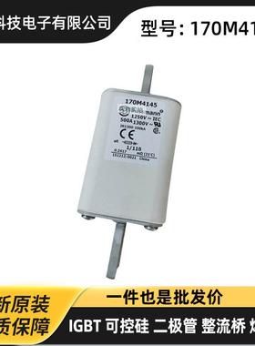 170M3808D 170M3809D 170M3810D 170M3811D原厂快速熔断器 保险丝