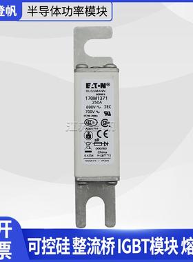 巴斯曼低压熔断器 170M1358/1360/1366/1368/1369/1370/1371/1372