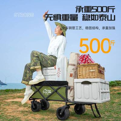 营推车露营地车拖外车户儿摆童可躺野营摊快递手拉TL-HKTC2推车野