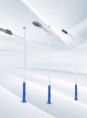 Led路灯杆户外新农村4/5/6/8/10/12米小区广球场道路高杆灯头高亮