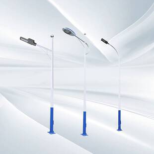 Led路灯杆户外新农村4/5/6/8/10/12米小区广球场道路高杆灯头高亮