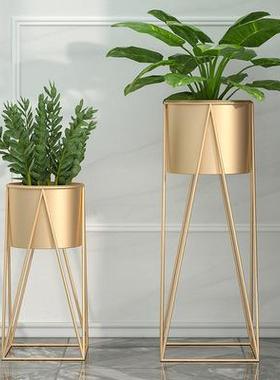 TSE12344欧室内铁艺爬简花架客厅阳台易绿植造架落地藤式花盆栽置