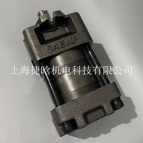 直齿共轭内啮合齿轮泵