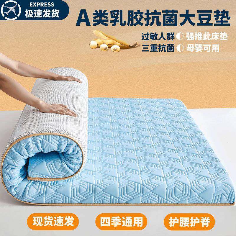 新款类乳胶记忆铺棉加厚超海绵床软垫底单CEM人A学生家用床护垫超