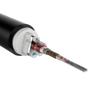 源带头厂家伴热管线高温伴热预烟RMZK B60气伴热采管一体样化制伴