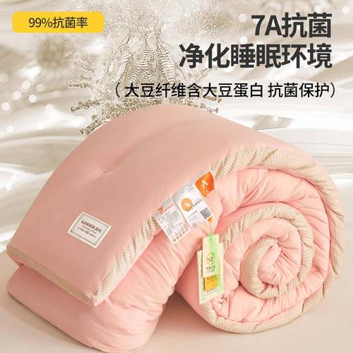 A类水洗SYV棉棉被大纤维二一子母被加厚冬被立被体拼边豆被芯合被