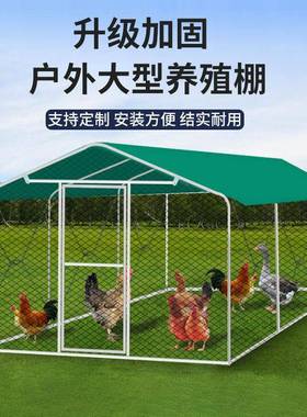 户外鸡棚鸡子养鸡笼鸽笼家禽大型孔篷遮雀雨鸡舍搭建鸭家用养FZR