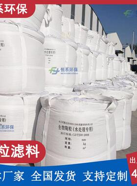 BA水生物F滤池生物挂膜载体粒滤料污除VLK氮过滤陶粒2-陶9mm恒系