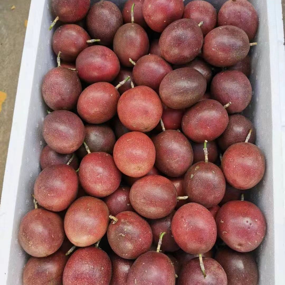 云南紫皮百香果新鲜水果